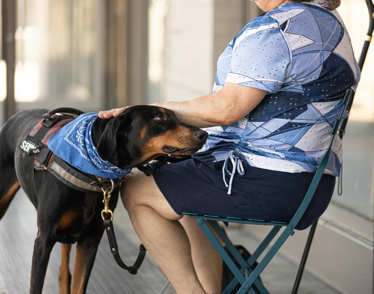 American-Dream-Realty-and-Management-service-animal American-Dream-Realty-and-Management-service-animal